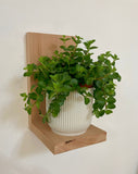 Supports Muraux pour plantes, bougies ou peluches