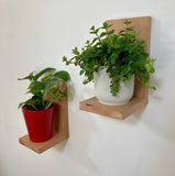 Supports Muraux pour plantes, bougies ou peluches