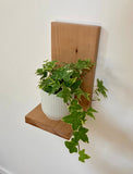 Supports Muraux pour plantes, bougies ou peluches