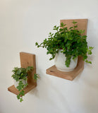 Supports Muraux pour plantes, bougies ou peluches