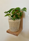 Supports Muraux pour plantes, bougies ou peluches