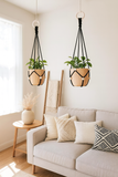 Suspensions en macramé pour plantes
