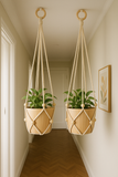 Suspensions en macramé pour plantes