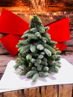 Sapin de Noel - Nobilis - 30 cm