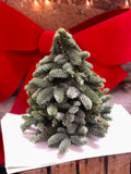 Sapin de Noel - Nobilis - 30 cm