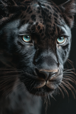 Portraits Animaliers d'Exception