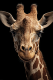 Portraits Animaliers d'Exception