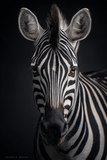 Portraits Animaliers d'Exception