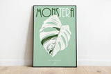 MONSTERA DELICIOSA VARIEGATA  - Affiche plante A3/A4 - Poster, illustration végétale