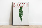 BEGONIA MACULATA - Affiche plante A3/A4 - Poster, illustration végétale