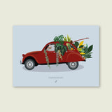 NEVER WITHOUT my PLANTS - Affiche plante A3/A4 - Poster, illustration végétale