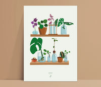 BABY PLANTS NURSERY - Affiche plante A3/A4 - Poster, illustration végétale