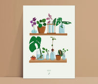BABY PLANTS NURSERY - Affiche plante A3/A4 - Poster, illustration végétale