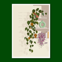 PHILODENDRON MICANS - Affiche plante A5 - illustration végétale, botanique, plants, décoration, art, print, poster, jungle paper