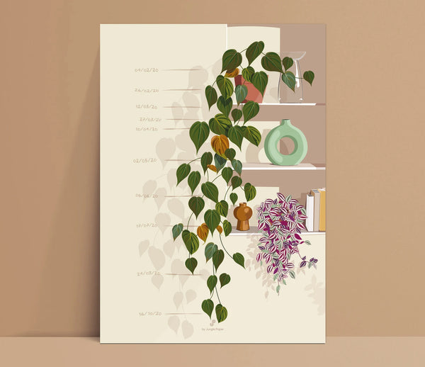 PHILODENDRON MICANS  - Affiche plante A3/A4 - Poster, illustration végétale