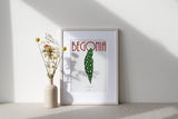 BEGONIA MACULATA - Affiche plante A3/A4 - Poster, illustration végétale