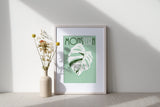 MONSTERA DELICIOSA VARIEGATA  - Affiche plante A3/A4 - Poster, illustration végétale