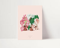 CALADIUM LOVER - Affiche plante A3 - Poster, illustration végétale