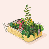 HOUSEPLANT - Affiche plante A3/A4 - Poster, illustration végétale
