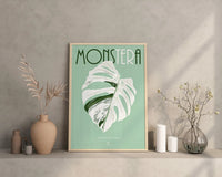 MONSTERA DELICIOSA VARIEGATA  - Affiche plante A3/A4 - Poster, illustration végétale