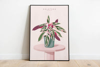 CALATHEA TRIOSTAR - Affiche plante A3/A4 - Poster, illustration végétale