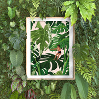 GROW UP MONSTERA - Affiche plante A3 - Poster, illustration végétale