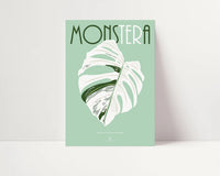 MONSTERA DELICIOSA VARIEGATA  - Affiche plante A3/A4 - Poster, illustration végétale