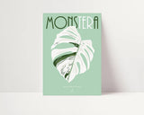 MONSTERA DELICIOSA VARIEGATA  - Affiche plante A3/A4 - Poster, illustration végétale