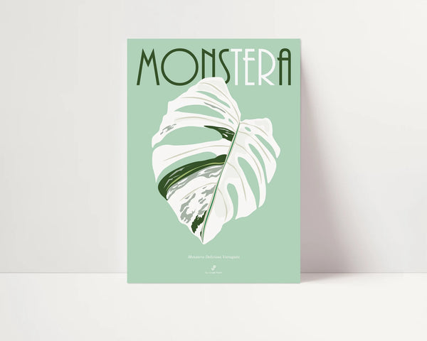 monstera species poster MONSTERA DELICIOSA VARIEGATA - Affiche plante A3/A4